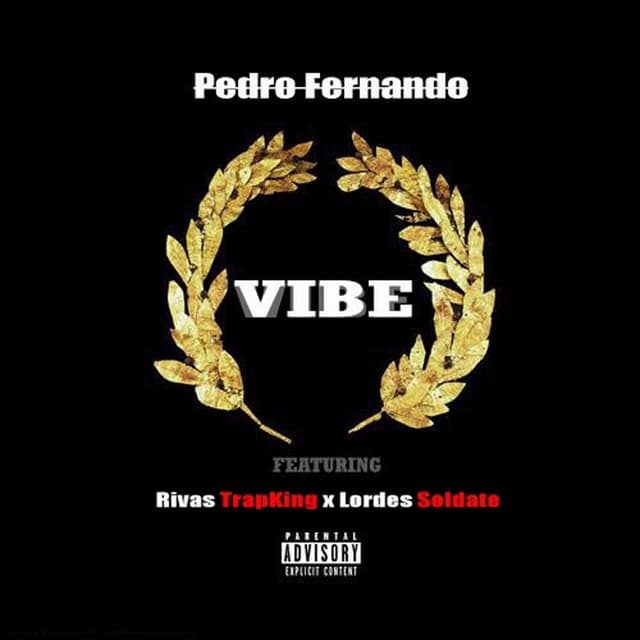 Album cover art for Vibe