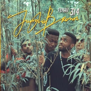 Album cover art for Flight 314
