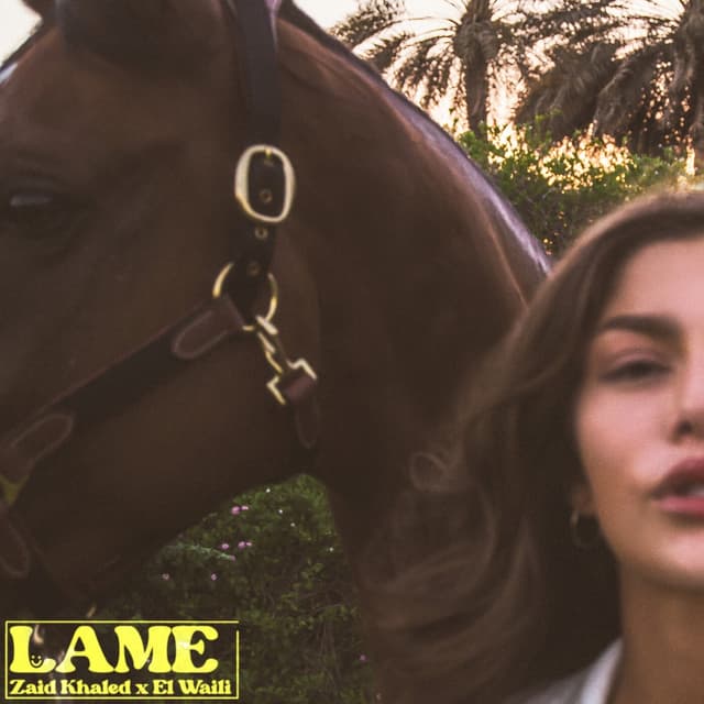 Album cover art for Lame