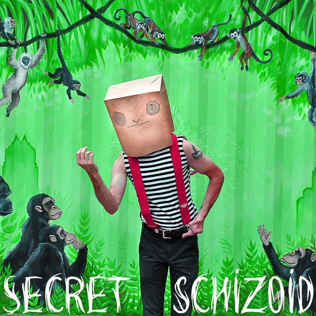 Album cover art for Secret Schizoid