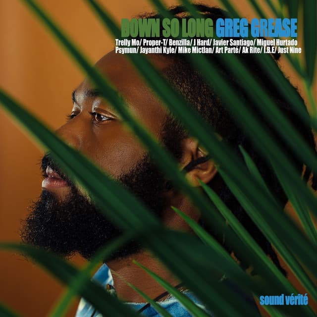 Album cover art for Down So Long