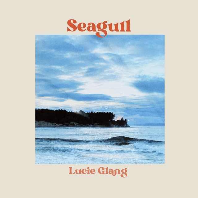 Album cover art for Seagull