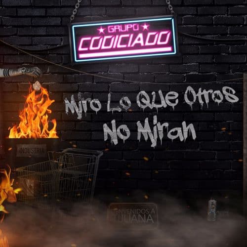 Album cover art for Miro Lo Que Otros No Miran