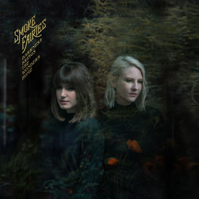 Album cover art for Darkness Brings the Wonders Home