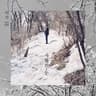 사월의 눈 Snow Of April