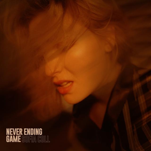 Album cover art for Never Ending Game