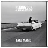 Album cover art for Fake Magic