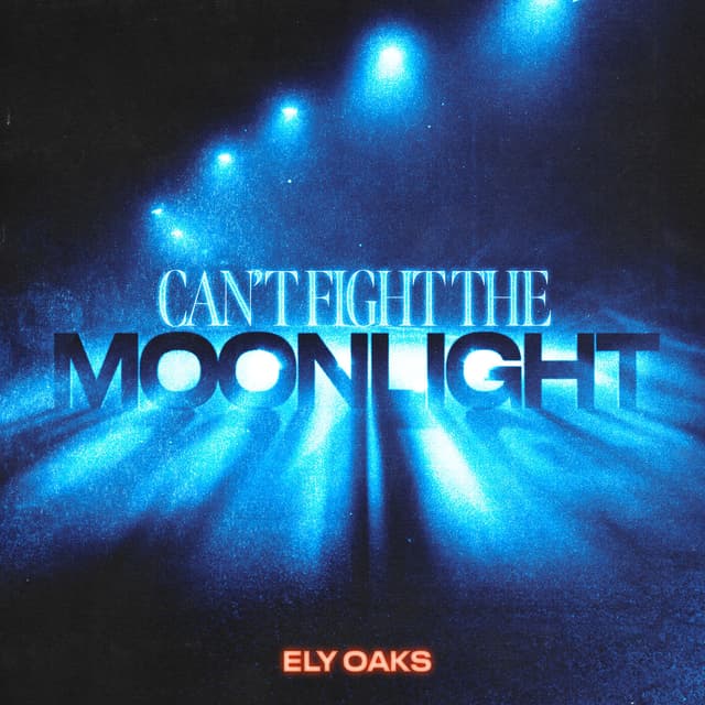 Album cover art for Can't Fight The Moonlight