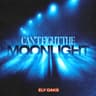 Can't Fight the Moonlight