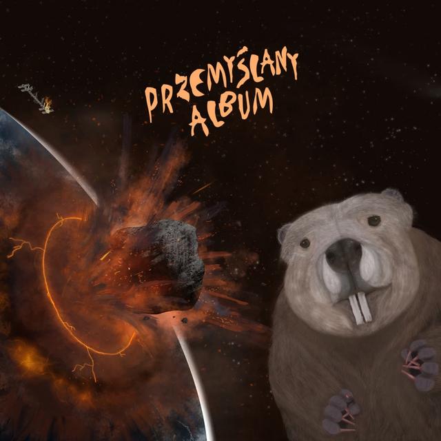 Album cover art for Przemyślany album