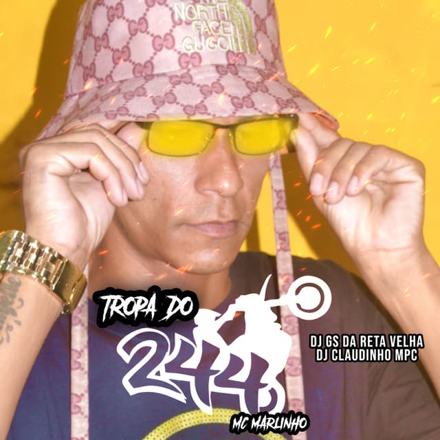Album cover art for Tropa do 244