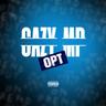 OPT