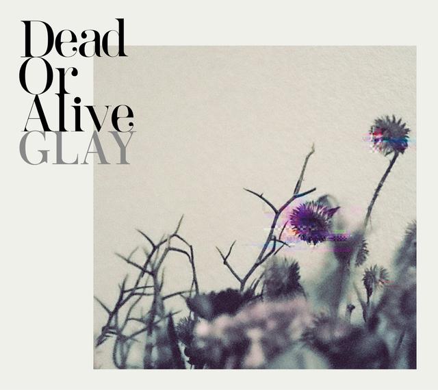 Album cover art for Dead Or Alive