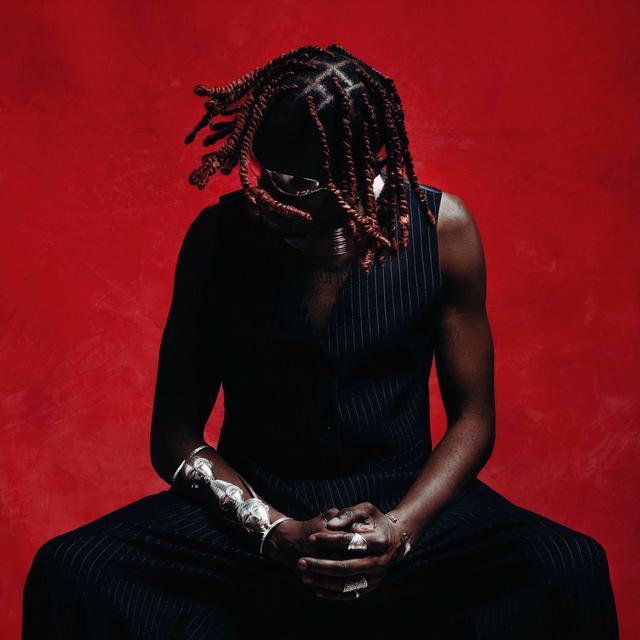 Album cover art for HOUSE OF BIRDS