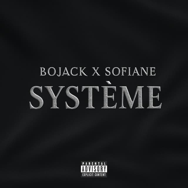 Album cover art for Système