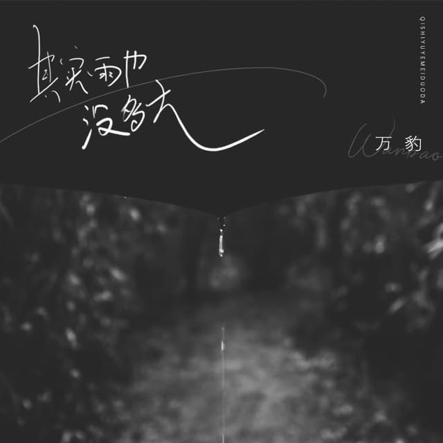 Album cover art for 其实雨也没多大