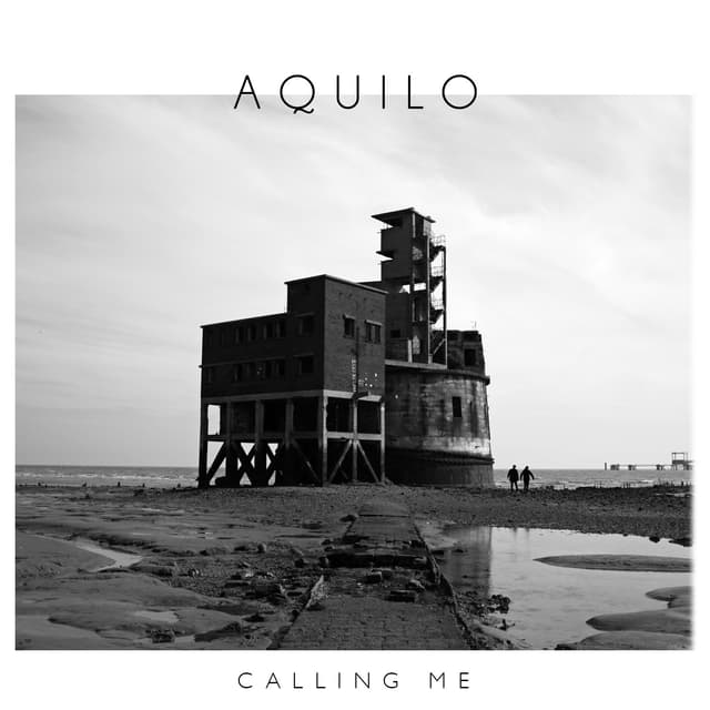 Album cover art for Calling Me