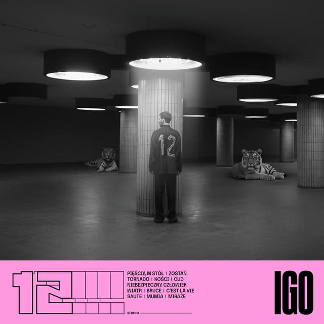 Album cover art for 12