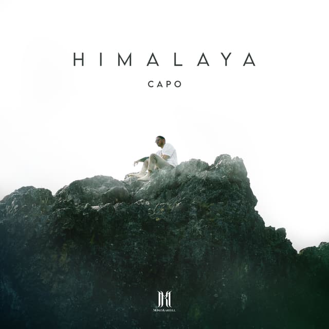 Album cover art for Himalaya