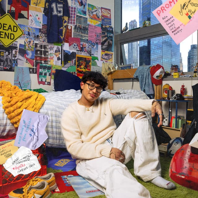 Album cover art for school crush