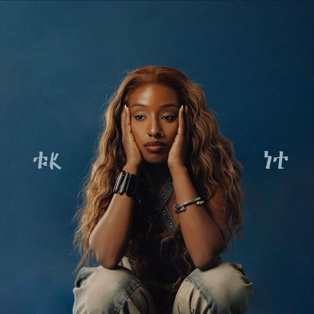 Album cover art for FK IT