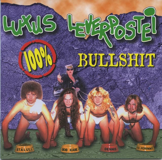 Album cover art for Absolutt Bullshit