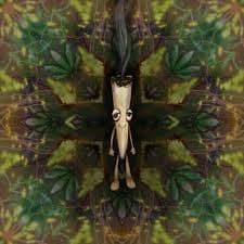 Album cover art for City of Oakland