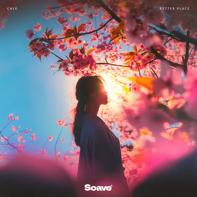 Album cover art for Better Place