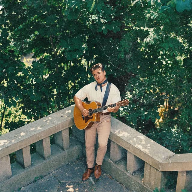Album cover art for Lev, ikkje overlev