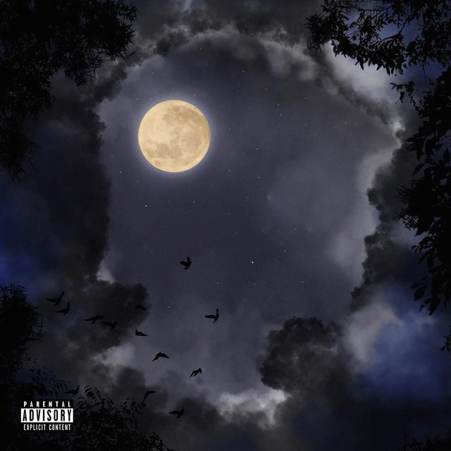 Album cover art for Deva