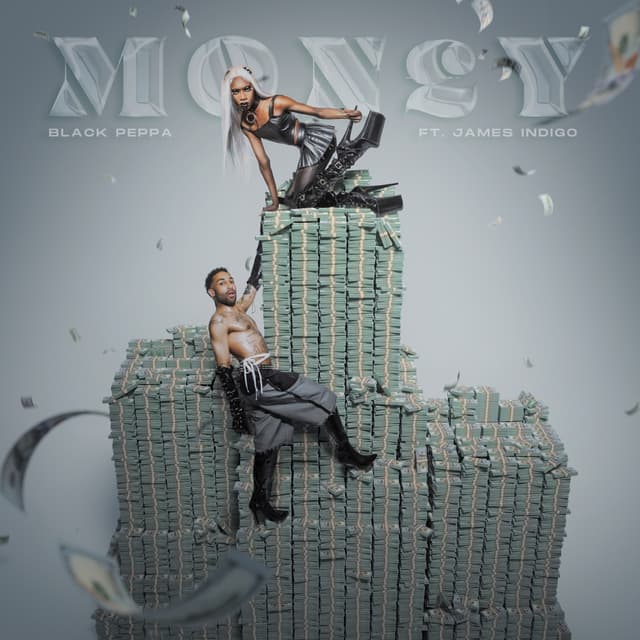 Album cover art for Money