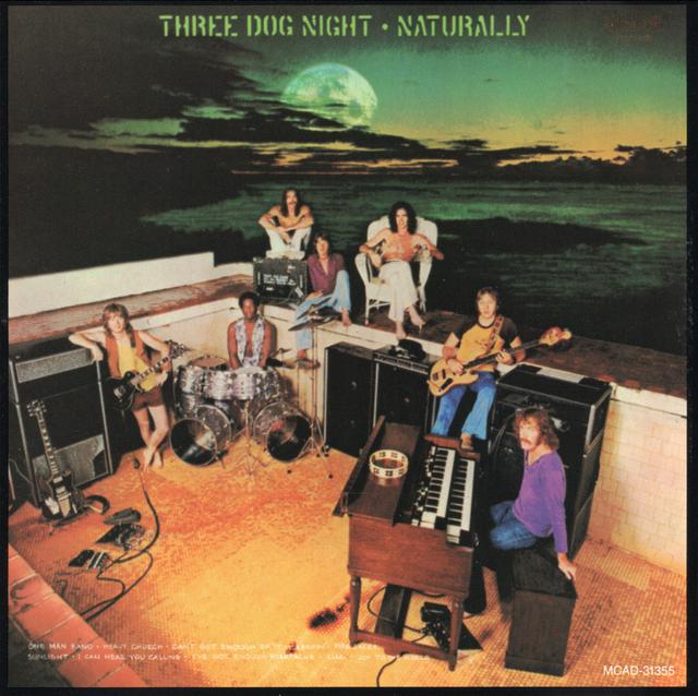 Album cover art for Naturally