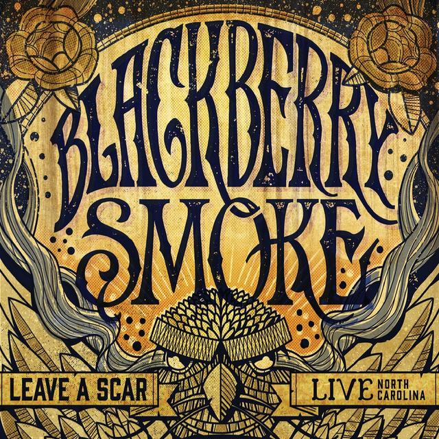 Album cover art for Leave a Scar: Live in North America