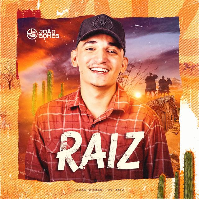 Album cover art for RAIZ