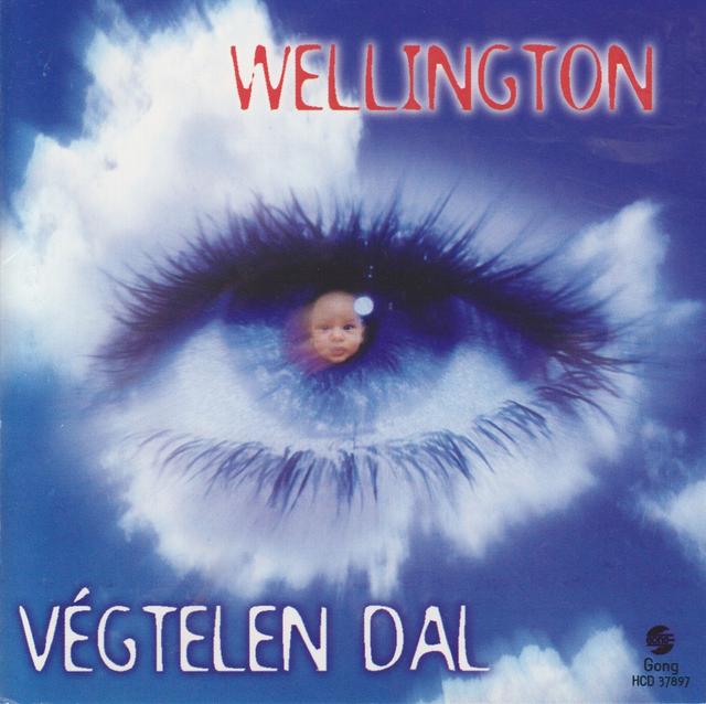 Album cover art for Végtelen dal