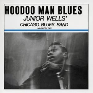 Album cover art for Hoodoo Man Blues