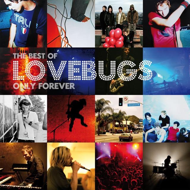 Album cover art for Only Forever - the Best of Lovebugs