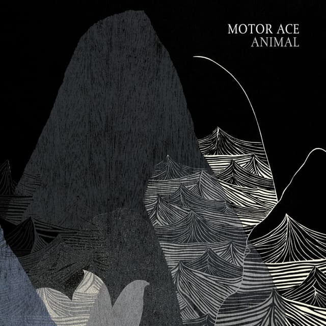 Album cover art for Animal