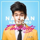 Album cover art for Electricity