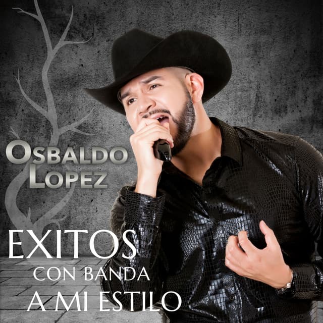 Album cover art for Exitos Con Banda a Mi Estilo