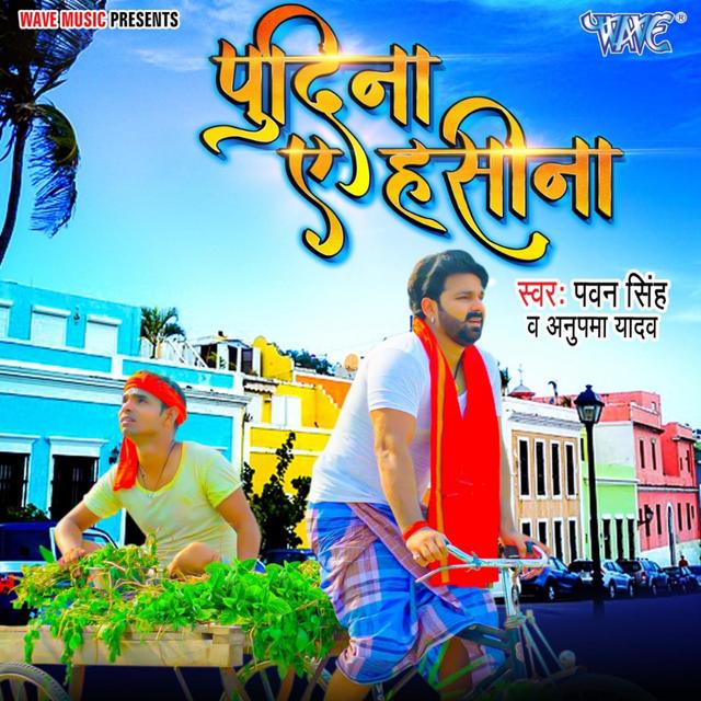 Album cover art for Pudina Ae Haseena