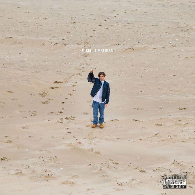 Album cover art for TIMBERLAND