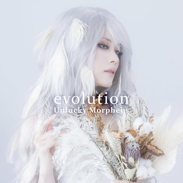 Album cover art for evolution