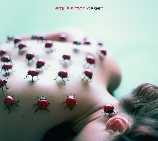 Album cover art for Désert