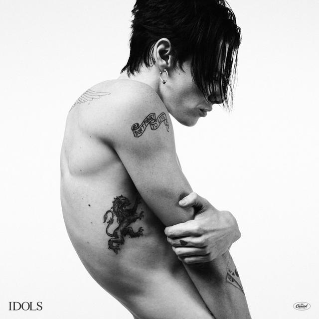 Album cover art for Idols