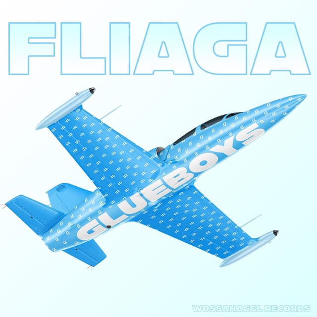 Album cover art for Fliaga