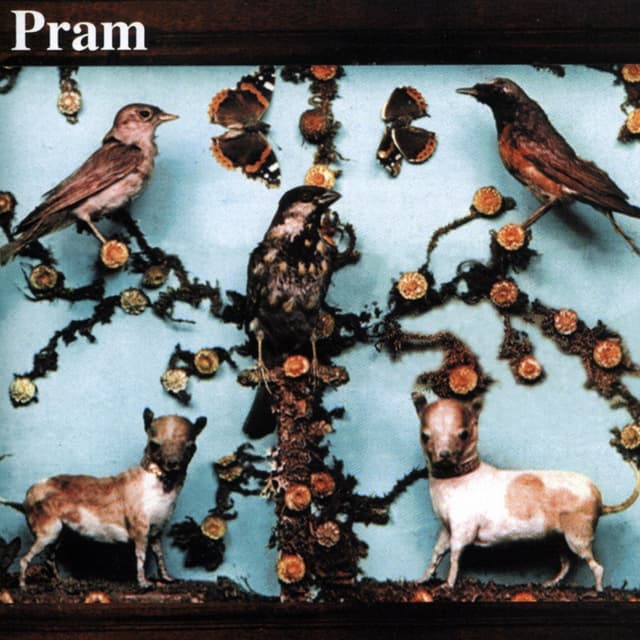 Album cover art for Museum Of Imaginary Animals
