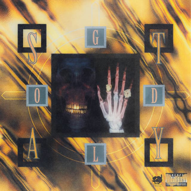 Album cover art for STAY GOLD