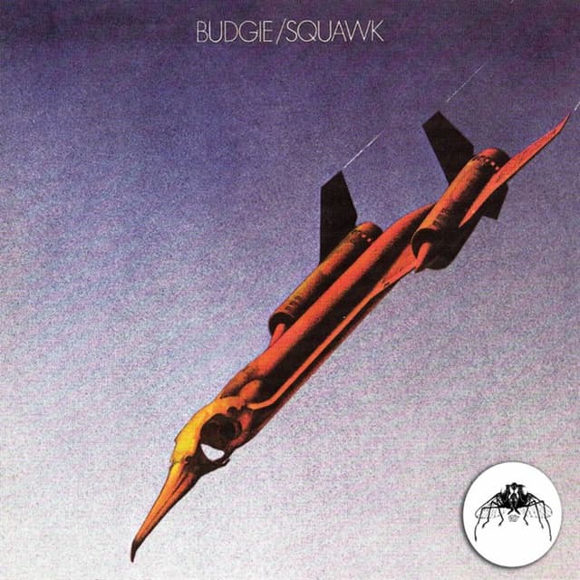 Album cover art for Squawk