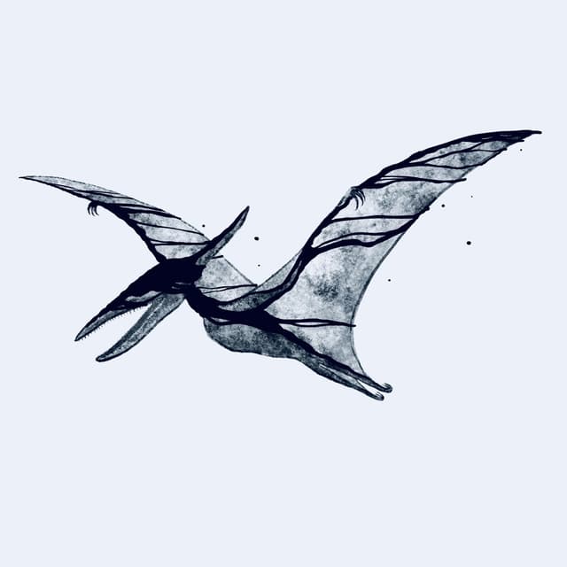 Album cover art for Pterodactyl